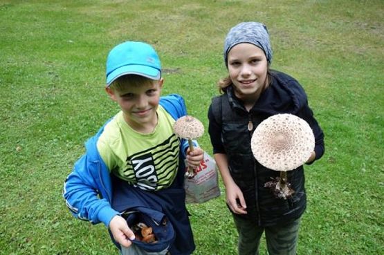  Grafika #2: Sprzątanie Świata 2019 r. grafika