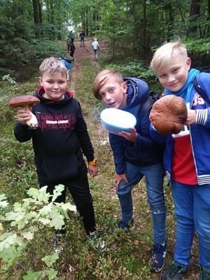  Grafika #1: Sprzątanie Świata 2019 r. grafika