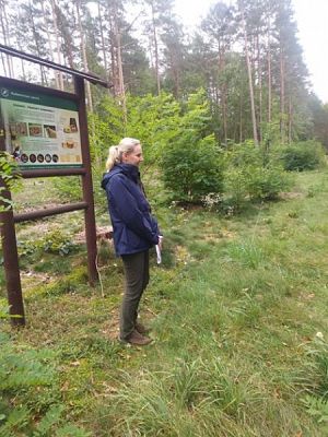  Grafika #6: Sprzątanie Świata 2019 r. grafika