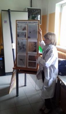  Grafika #8: Sprzątanie Świata 2019 r. grafika