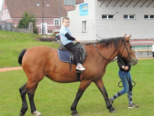  Grafika #5: Mini Olimpiada Osób Niepełnosprawnych w Charbrowie grafika