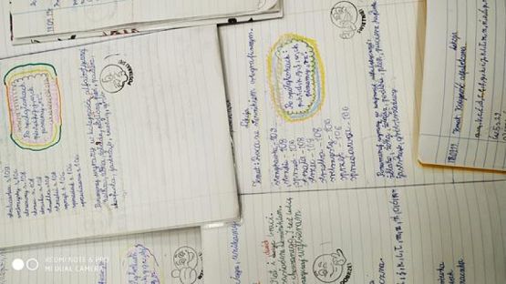  Grafika #18: Dzień Buziek w klasie IIIa - ortografia grafika