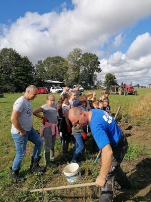  Grafika #2: Klasa Va na wykopkach grafika