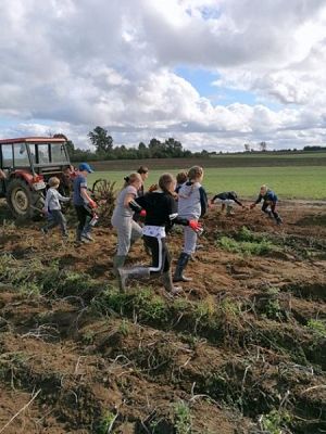  Grafika #6: Klasa Va na wykopkach grafika