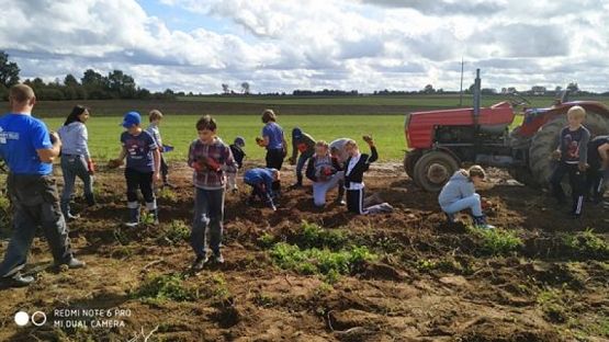  Grafika #7: Klasa Va na wykopkach grafika