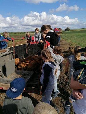  Grafika #4: Klasa Va na wykopkach grafika