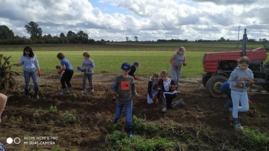  Grafika #8: Klasa Va na wykopkach grafika