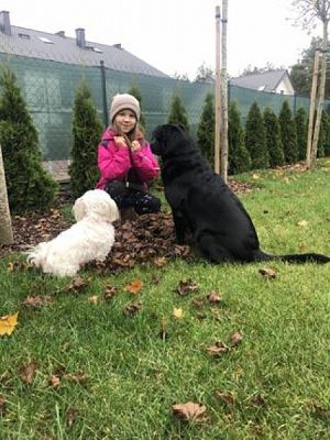  Grafika #4: Jesienne aktywności klasy Ib grafika