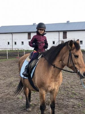  Grafika #5: Jesienne aktywności klasy Ib grafika