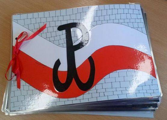  Grafika #44: V edycja ogólnopolskiej kampanii BohaterON– w Twojej Szkole! grafika