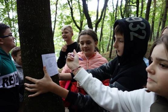  Grafika #14: TURYSTYKA AKTYWNA – PODCHODY grafika