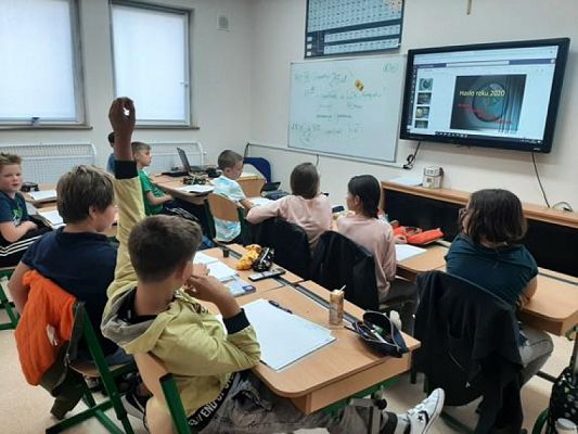  Grafika #1: Sprzątanie Świata 2020 grafika