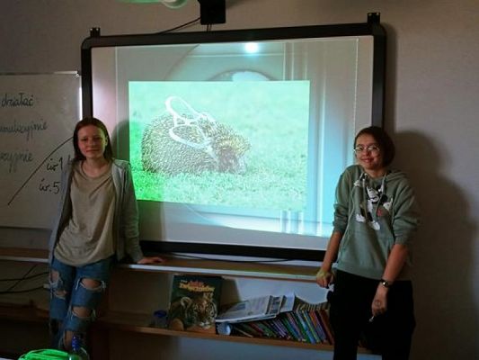  Grafika #5: Sprzątanie Świata 2020 grafika