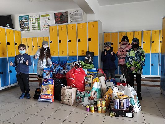 Zakończenie akcji "Pełna miska dla psa ze schroniska" grafika