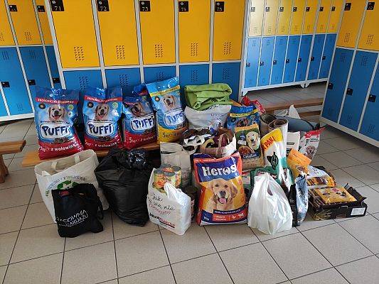 Zakończenie akcji "Pełna miska dla psa ze schroniska" grafika