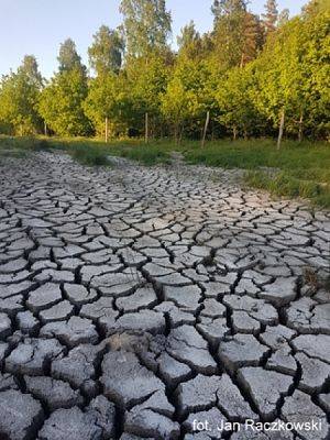 Grafika #0: 2018 - The Element - Earth grafika