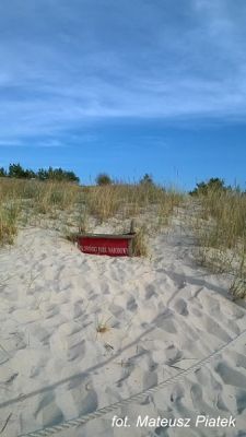 Grafika #12: 2017 - The Element - Wind grafika