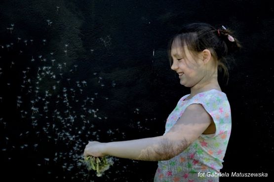 Grafika #3: 2017 - The Element - Wind grafika