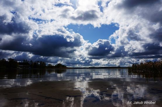 Grafika #4: 2017 - The Element - Wind grafika