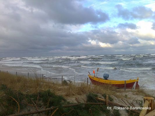 Grafika #8: 2017 - The Element - Wind grafika