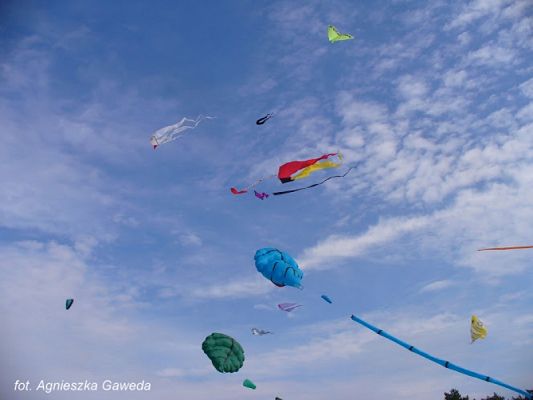 Grafika #1: 2017 - The Element - Wind grafika