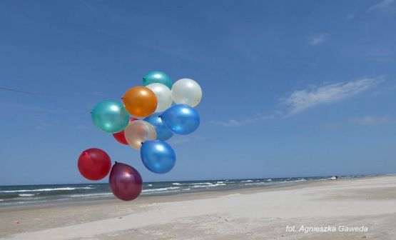 Grafika #2: 2017 - The Element - Wind grafika