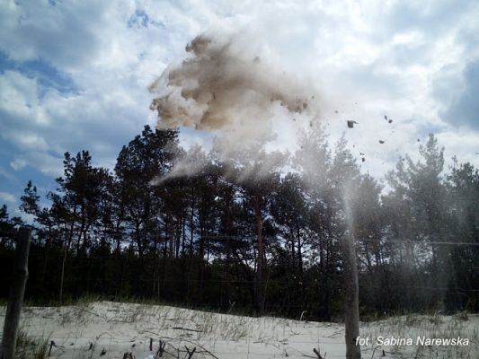 Grafika #0: 2017 - The Element - Wind grafika