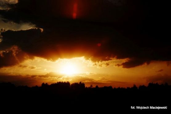 Grafika #1: 2016 - The Element - Fire grafika