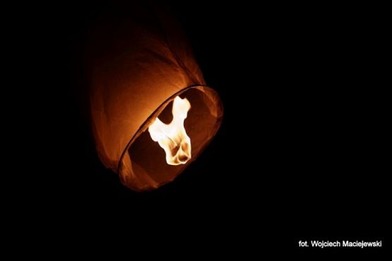 Grafika #2: 2016 - The Element - Fire grafika