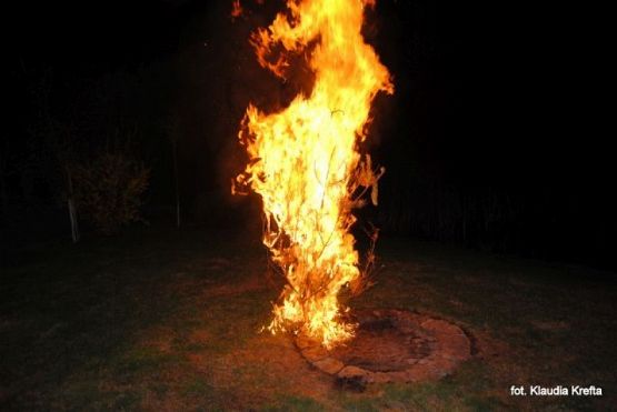 Grafika #7: 2016 - The Element - Fire grafika