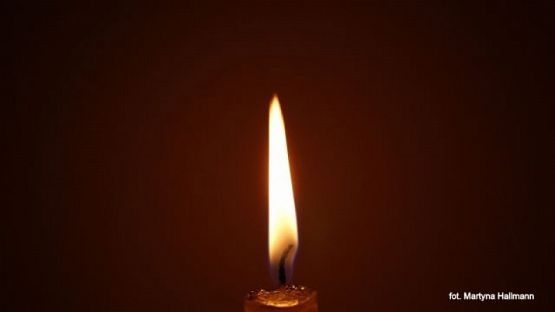 Grafika #12: 2016 - The Element - Fire grafika