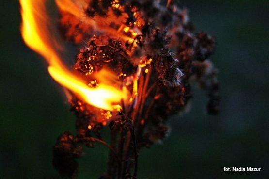 Grafika #16: 2016 - The Element - Fire grafika