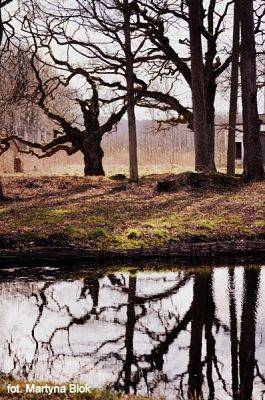 Grafika #14: 2015 - The Element - Water grafika