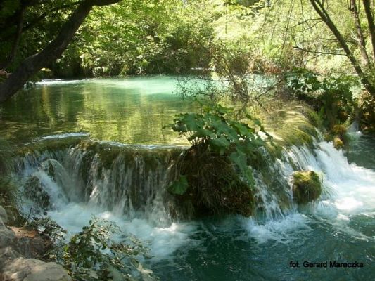 Grafika #18: 2015 - The Element - Water grafika