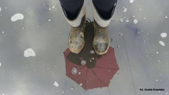 Grafika #19: 2015 - The Element - Water grafika