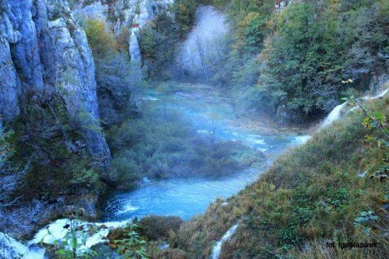 Grafika #22: 2015 - The Element - Water grafika