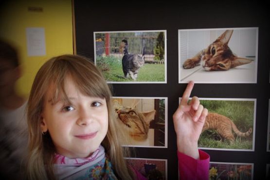 Grafika #1: 2014 - My Passion grafika