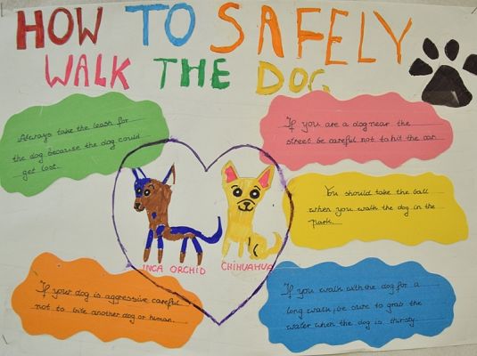 Grafika #5: “HOW TO MAKE A GOOD SELFIE? grafika