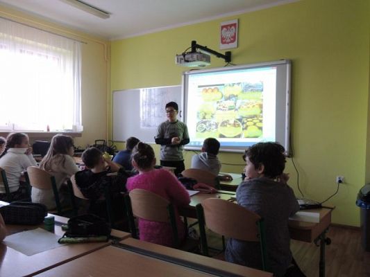  Grafika #1: Podróż po Hong Kongu grafika