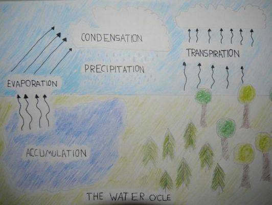  Grafika #16: The Water Cycle grafika