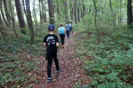  Grafika #7: TURYSTYKA AKTYWNA – PODCHODY grafika