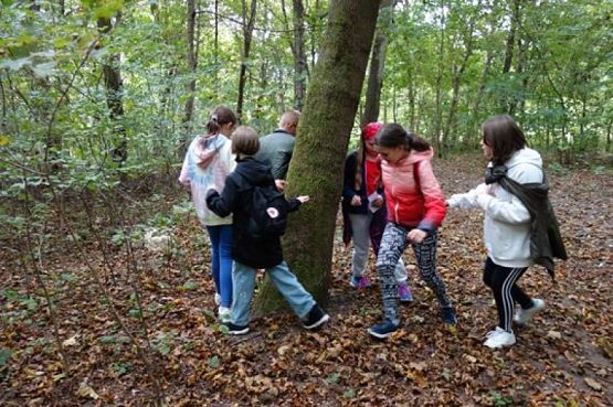  Grafika #18: TURYSTYKA AKTYWNA – PODCHODY grafika