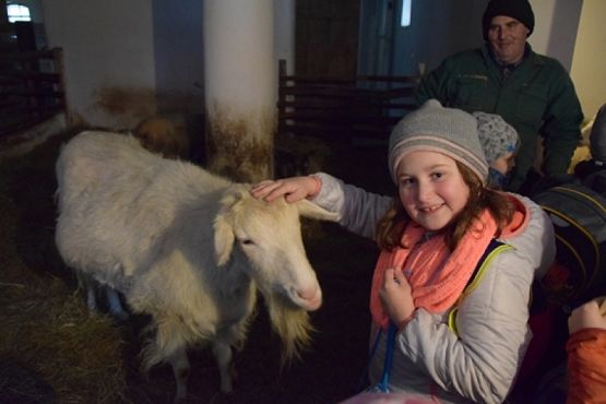  Grafika #17: KRAINA W KRATĘ czyli wycieczka klas drugich do Swołowa grafika