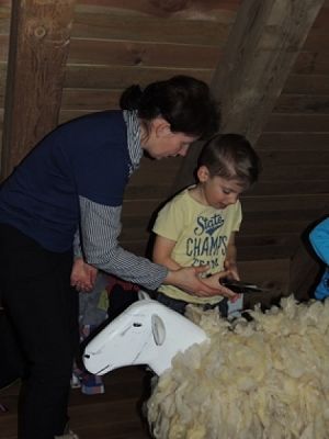  Grafika #7: LEKCJA MUZEALNA W SWOŁOWIE Opowieści utkane … o wełnie grafika