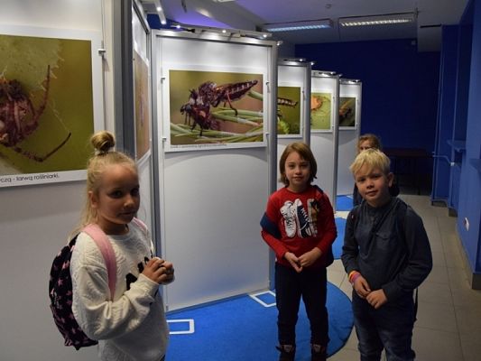  Grafika #2: WYCIECZKA KLAS II DO AKWARIUM GDYŃSKIEGO grafika