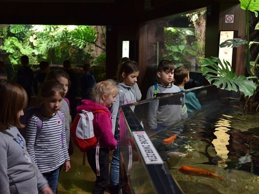  Grafika #9: WYCIECZKA KLAS II DO AKWARIUM GDYŃSKIEGO grafika