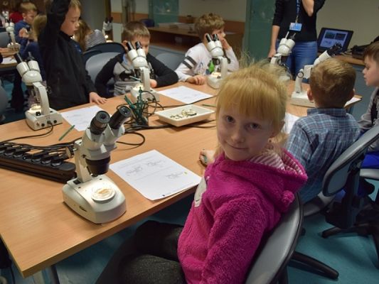  Grafika #11: WYCIECZKA KLAS II DO AKWARIUM GDYŃSKIEGO grafika