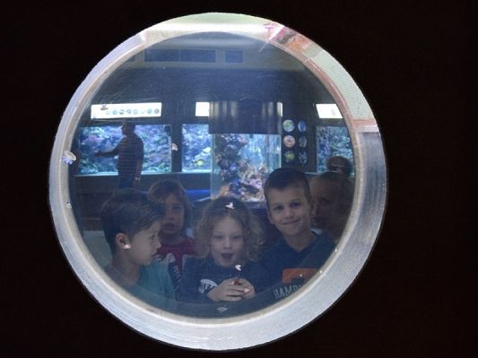  Grafika #12: WYCIECZKA KLAS II DO AKWARIUM GDYŃSKIEGO grafika