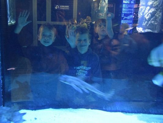  Grafika #14: WYCIECZKA KLAS II DO AKWARIUM GDYŃSKIEGO grafika