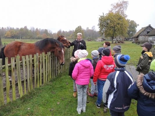  Grafika #14: KLASA III NA WYCIECZCE W KLUKACH grafika